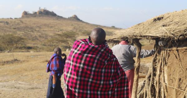 As COP30 nears, Maasai evictions expose the dark side of carbon markets