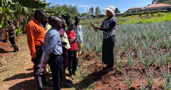 Sisters turning 25 acres in Kenya into a model for mixed farming