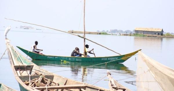 Ahead of COP30, a Kenyan village turns to bamboo and faith to fight climate change