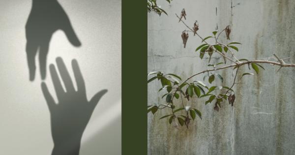 When leaving a religious community isn't a choice, ex-nun's organization seeks to help