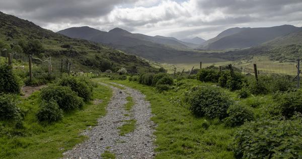 New Year's resolutions — even failed resolutions — can be heartfelt new beginnings