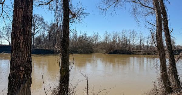 Not as tourists, but as pilgrims, we followed Thea Bowman through Mississippi