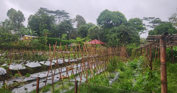 In Indonesia, reporter finds nuns' ministries meeting climate, poverty challenges