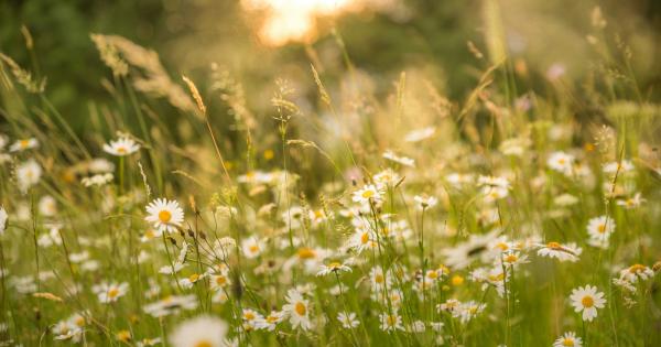 Cuando todo parece agotarse, Dios renueva la vida