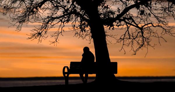 Felices quienes trabajan por la paz