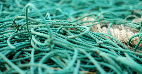 Language and life with migrant workers in a South Korean fishing village