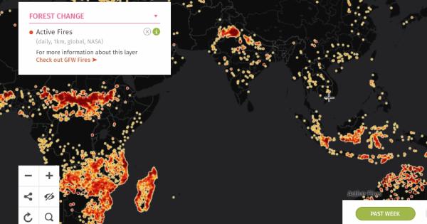 Indonesia is in flames | Global Sisters Report