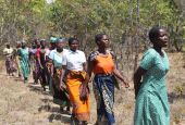 Women of the Eco Women Group have embarked on a tree-planting campaign to promote reforestation programs to reduce the effect of climate change in Kalumba Forest, 37 miles north of Malawi's capital, Lilongwe. (Doreen Ajiambo)