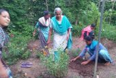 Sister Molly, manager of the farm at Deepalaya, run by the Medical Mission Sisters in Khandwa, Madhya Pradesh, India, leads novices in planting. (Courtesy of Celine Paramundayil)