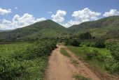 View of a road in the South Kivu region of Democratic Republic of Congo (Wikimedia Commons/Akyubwa)