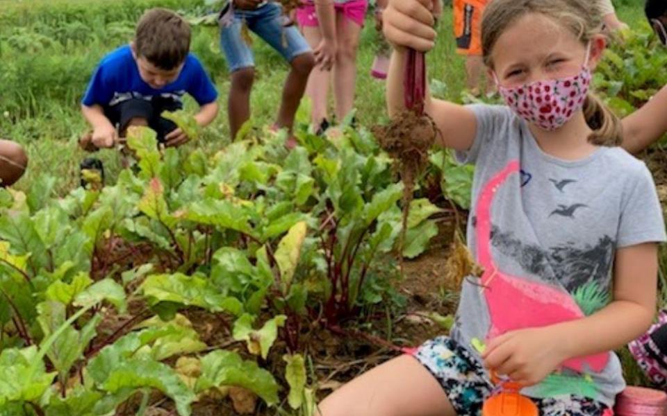 Educational programs are an important part of Monocacy Farms in Bethlehem, Penn. It's owned and managed by the School Sisters of St. Francis, U.S. Province. (Courtesy of Monocacy Farm Project) 