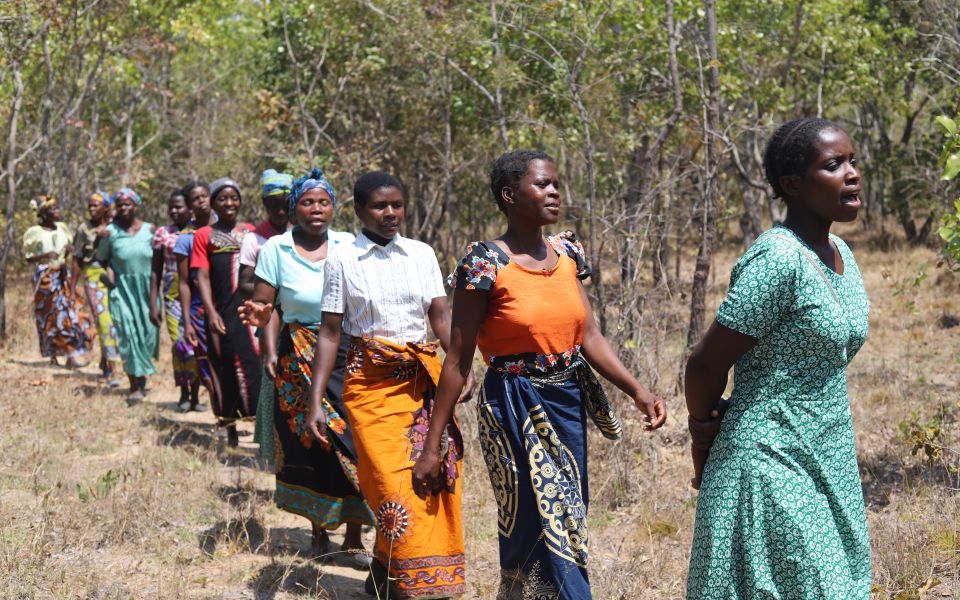 Women of the Eco Women Group have embarked on a tree-planting campaign to promote reforestation programs to reduce the effect of climate change in Kalumba Forest, 37 miles north of Malawi's capital, Lilongwe. (Doreen Ajiambo)