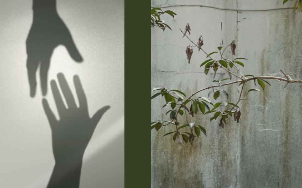 Illustrative photo collage shows a hand reaching down to help another hand, and thin branches against a cracked wall. (GSR graphic/Olivia Bardo)
