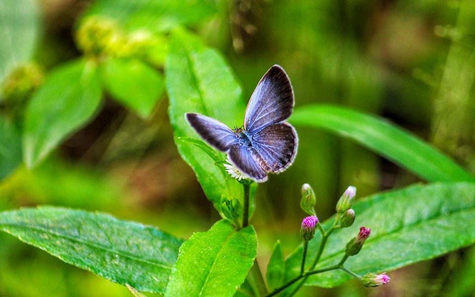 Guwahati, Assam, India (Unsplash/Bhargav Keot)