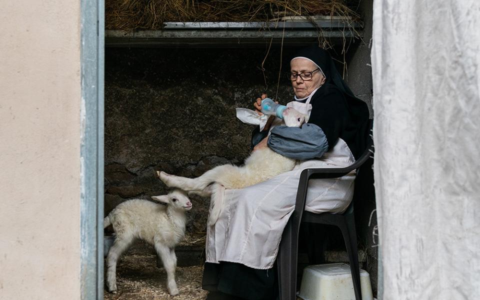 The new Italian documentary film "Agnus Dei" follows the Benedictine sisters in Rome who care for two lambs whose wool becomes part of a papal vestment — a centuries-old tradition. The lambs' principal caretaker is Sr. Vincenza Portaluri, shown here with the animals. (Riccardo Ghilardi)