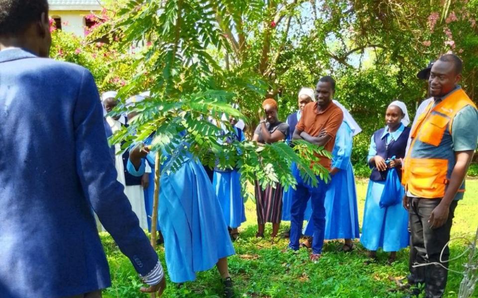 Participants watch a demonstration on proper tree pruning techniques as part of the farmer-managed natural regeneration training organized by Institute of the Holy Trinity Sisters in Isiolo County, Kenya. (Courtesy of Sr. Catherine Ciingi)