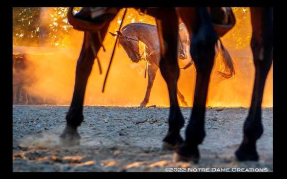 Notre Dame Sr. Rose Marie Tulacz was laying on the ground, "in cow dung practically, no tripod" when she took this photo. "But when I saw it, I stopped breathing, and I knew I only had one second to get the shot," she said. (Courtesy of Rose Marie Tulacz)