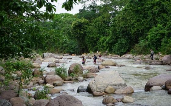 : The Guapinol River trickles down the Carlos Escaleras National Park. About a decade ago, Inversiones Los Pinares received approval to build an iron oxide mine in the park. (SHARE Foundation/Mark Coplan)