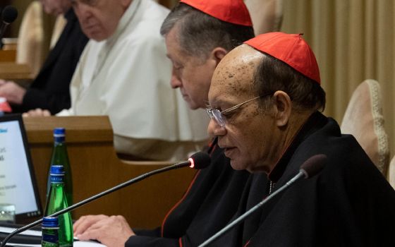 Cardinal Oswald Gracias (foreground) of Mumbai, India, speaks at a Vatican meeting on the protection of minors in the church in February 2019. (CNS/Vatican Media)