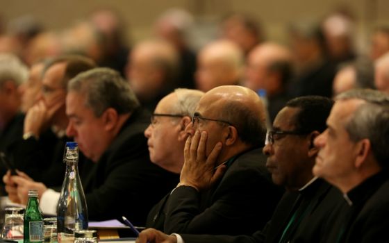 Bishops listen to a speaker during the fall general assembly of the U.S. Conference of Catholic Bishops in Baltimore Nov. 12. (CNS/Bob Roller) 
