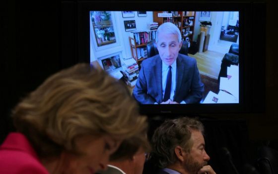 Dr. Anthony Fauci, director of the National Institute of Allergy and Infectious Diseases, speaks remotely during the Senate Committee for Health, Education, Labor and Pensions hearing in Washington May 12. (CNS/Pool via Reuters/Win McNamee)