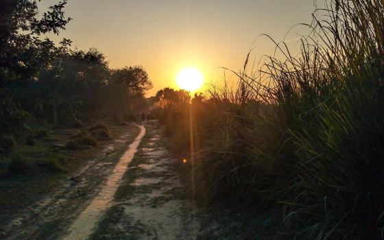 Sunrise on a road in Uttar Pradesh, India (Dreamstime/Akhtaransa)