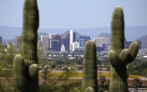 The skyline of Phoenix, Arizona, framed between seguaro cacti
