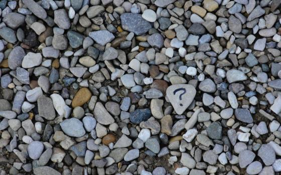 A rock marked with a question mark sits among a pile of rocks.