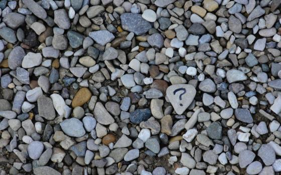 A rock marked with a question mark sits among a pile of rocks.