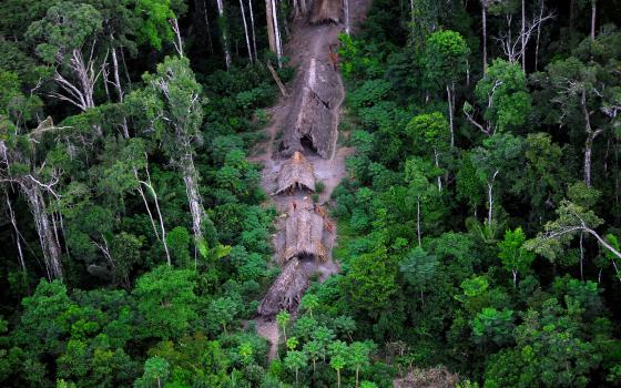 Vista aérea, en medio de la selva, de las viviendas de un grupo indígena aislado. 