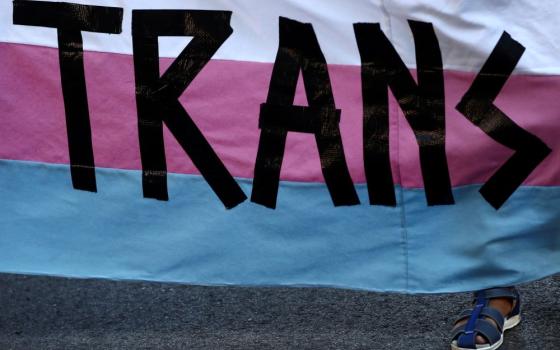 A person holds a "Trans" banner