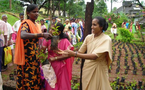 Helpers of Mount Rosary Sr. Anita Crasta distributes jasmine plants as part of promoting entrepreneurship among village women at her congregation's headquarters in Alangar near Moodabidri in the southwestern Indian state of Karnataka. (Courtesy of Celestine D'Souza)