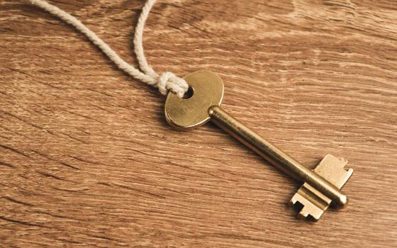 A single key on a string (Unsplash/Konstantin Evdokimov)