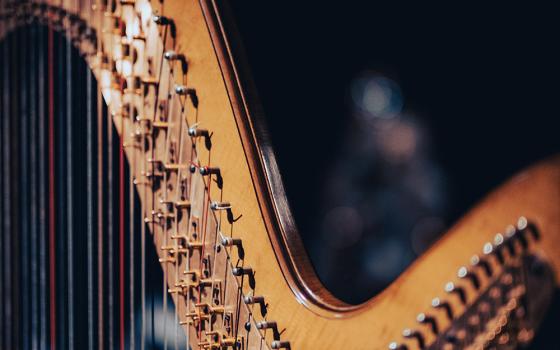 Harp (Unsplash/Victor Serban)