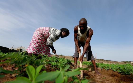 A husband and wife work on their farm in Abuja, Nigeria, June 10, 2020. (CNS/Reuters/Afolabi Sotunde)