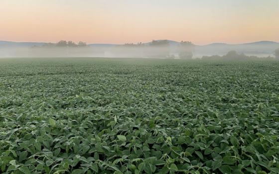 Fog hovers over a field of beans on a farm in Friendship, Pa., Sept. 19, 2021. (OSV News photo/CNS file, Bob Roller)