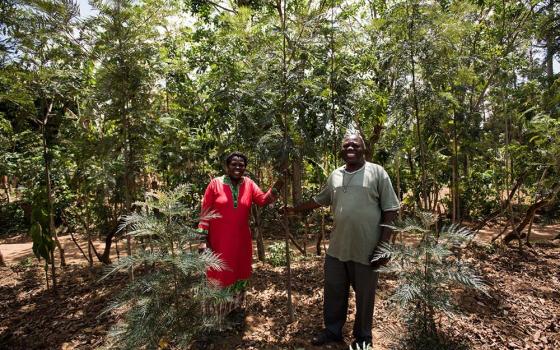 Davis Mukolwe, a small-holder farmer from Luucho, Kenya, has about 100 grevillea trees around his farm, all of them grown from seeds he received from One Acre Fund. The trees provide supplemental income for the family's 3-acre farm. (Newswire/Calvert Impact Capital/Courtesy of One Acre Fund and Hailey Tucker)