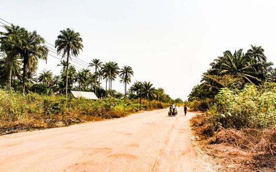 A rural road in Imo State, Nigeria (Unsplash/Nnaemeka Ugochukwu)