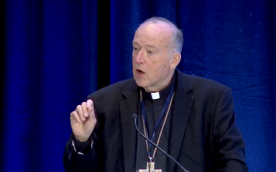 Cardinal McElroy speaks