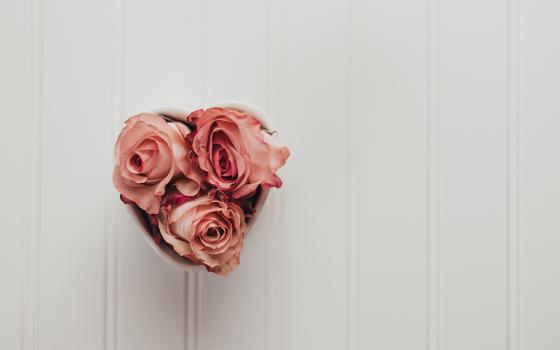 Three pink roses in a heart-shaped container (Unsplash/Sixteen Miles Out)