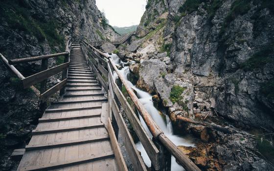 A crooked wooden bridge (Unsplash/Florian Bernhardt)