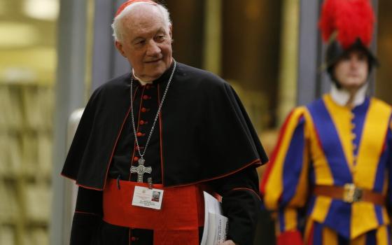 Cardinal pictures walking, with Swiss Guard in background. 