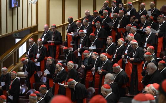 Cardinals gather in the New Synod Hall at the Vatican for their fifth general congregation meeting April 28, 2025. (CNS photo/Vatican Media)