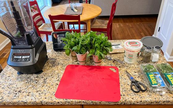 Preparations underway for making the Grosso family pesto recipe, which they traditionally serve on Good Friday (NCR photo/John Grosso)