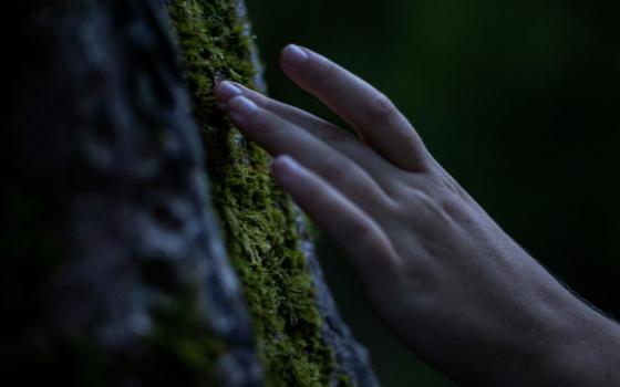 hand touches moss