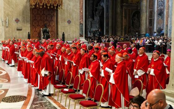 Cardinals at Mass