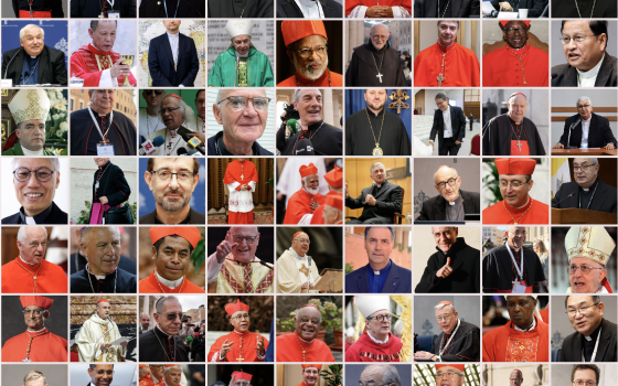 Explore the conclave: An interactive database of cardinal electors