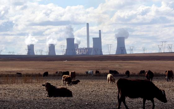 Cows graze as steam rises from the cooling towers of a coal-fired power plant in Middelburg, South Africa, May 20, 2018. (CNS/Reuters/Siphiwe Sibeko)