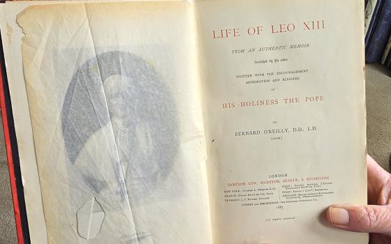 Life of Leo XIII: From an Authentic Memoir Furnished by His Order, by Irish Fr. Bernard O'Reilly, is "a papal biography based on a manuscript provided by Pope Leo XIII himself," says John Cooney, retired journalist. (Sarah Mac Donald)