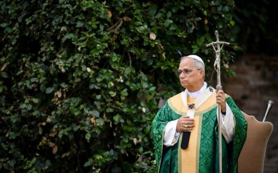 Pope Leo in green vestments